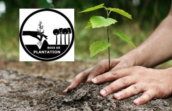 LE LABEL BOIS DE PLANTATION