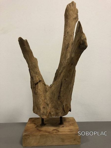 OBJETS DECO ROOTSIE EN TECK