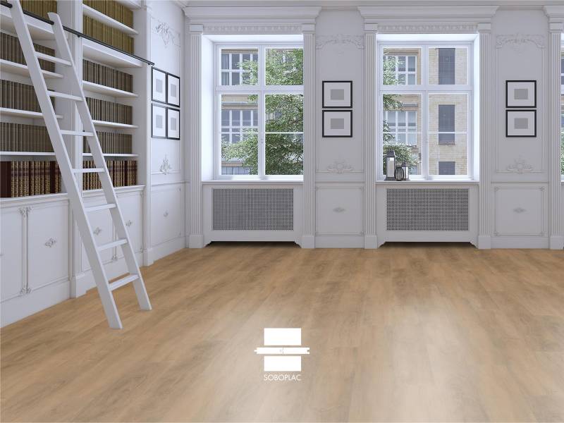 LAMES DE VINYLE RIGIDES INTENDANCE L MONTESQUIEU