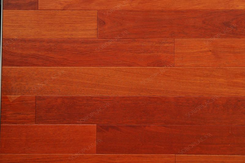 PARQUET MERBAU MASSIF VERNI 14X80